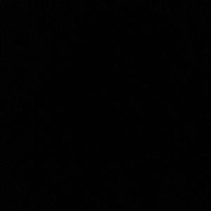 Meet your Posher, Carmen